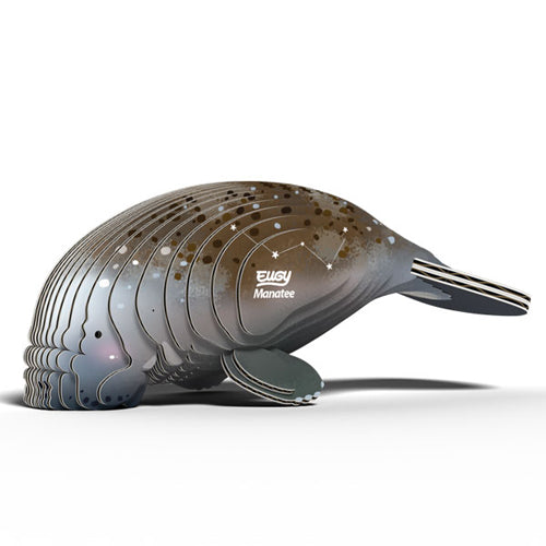 Eugy Manatee