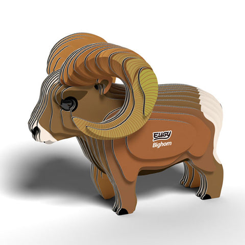 Eugy Bighorn