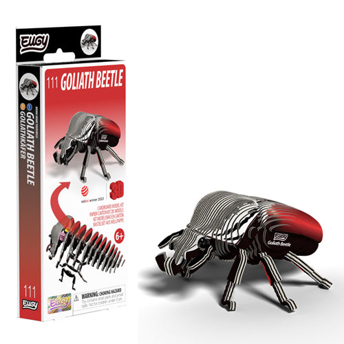 Eugy Goliath Beetle