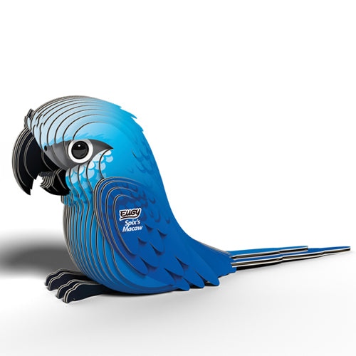 Eugy Spix's Macaw