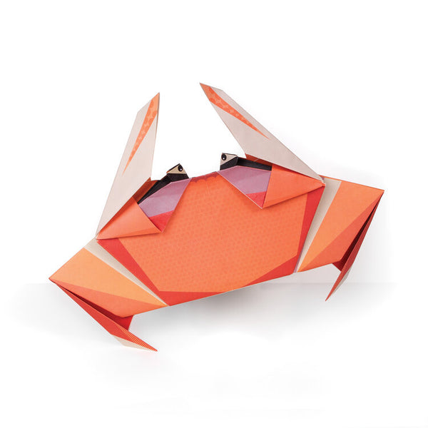 Create Your Own Giant Ocean Origami - MAD Factory